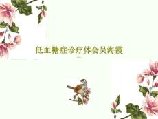 低血糖症诊疗体会课件