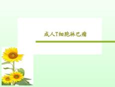 成人T细胞淋巴瘤课件