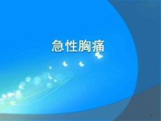 胸痛待查急性胸痛 ppt课件