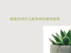 膀胱的神经支配和神经源性膀胱课件