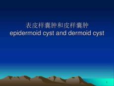 表皮样囊肿和皮样囊肿的影像学鉴别诊断参考课件