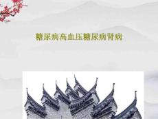 糖尿病高血压糖尿病肾病课件