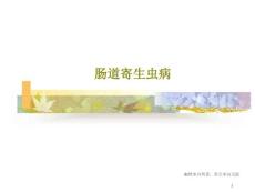 肠道寄生虫病课件