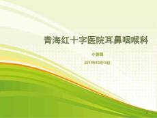 小讲课慢性鼻炎课件