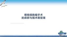嗜铬细胞瘤麻醉课件