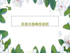 多指并指畸形剖析课件