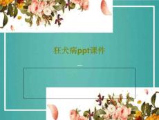 狂犬病课件