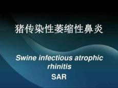 猪传染性萎缩性鼻炎课件