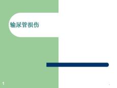 输尿管损伤课件