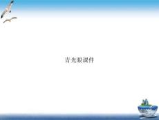 青光眼课件