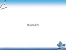 肺结核课件
