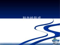 脑血栓形成课件
