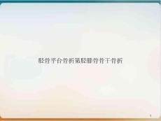 胫骨平台骨折第胫腓骨骨干骨折ppt课件