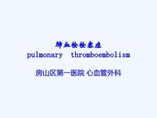 肺栓塞个人精编结合肺栓塞诊疗指引课件