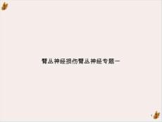 臂丛神经损伤臂丛神经专题一课件