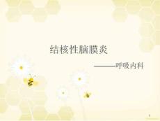 结核性脑膜炎课件