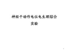 蟾蜍坐骨神经干课件