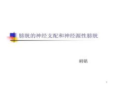膀胱神经支配和神经原性膀胱课件