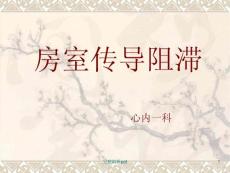 房室传导阻滞 课件