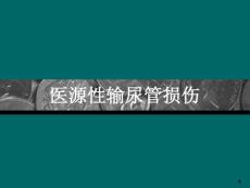 医源性输尿管损伤课件