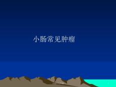 小肠常见肿瘤ppt课件