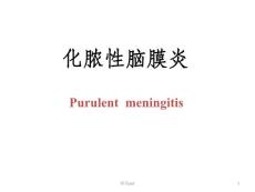 化脓性脑膜炎 课件