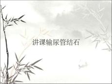 讲课输尿管结石