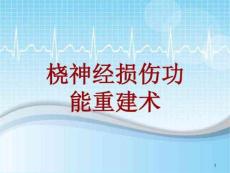 手术讲解模板桡神经损伤功能重建术课件