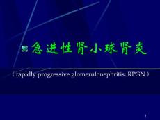 急进性肾小球肾炎课件