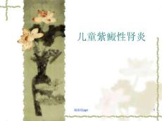 儿童紫癜性肾炎 课件