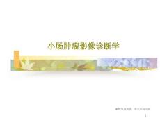 小肠肿瘤影像诊断学课件