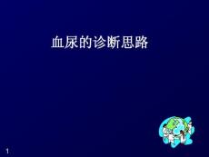 小儿血尿的鉴别诊断he课件