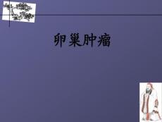 卵巢肿瘤概论课件