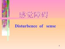 感觉障碍神经内科课件