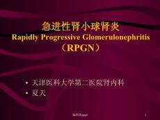 急进性肾小球肾炎课件