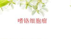 嗜铬细胞瘤ppt课件