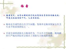 妊娠梅毒与先天梅毒课件
