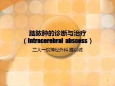 脑脓肿诊断与治疗课件