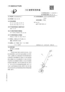 脉络膜上注射装置