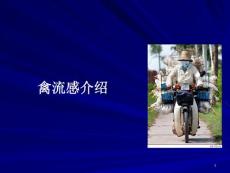禽流感与禽流感病毒课件