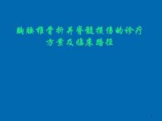 胸腰椎骨折并截瘫课件