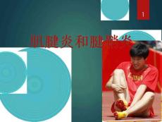 肌腱炎和腱鞘炎课件