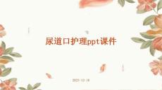 尿道口护理ppt课件