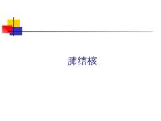 肺结核课件