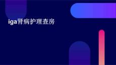 iga肾病护理查房