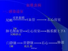肺寄生虫病课件