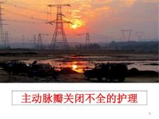 主动脉瓣关闭不全的护理课件