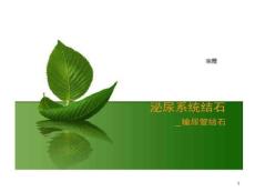 输尿管结石课件