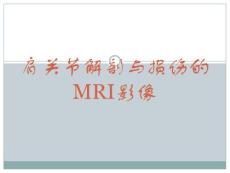 肩关节损伤MRI诊断课件