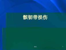 髌韧带损伤新版课件